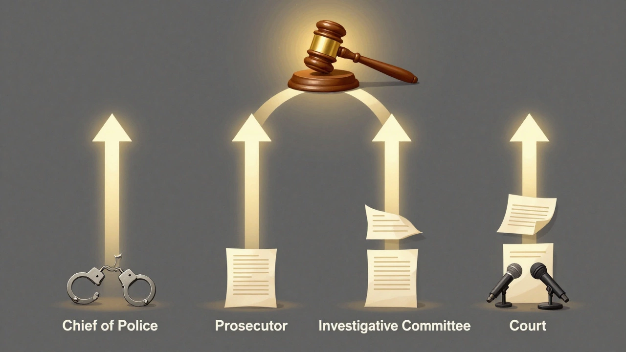 Схематичная дорога к справедливости: четыре института ведут к судебному залу, преодолевая бюрократические барьеры.